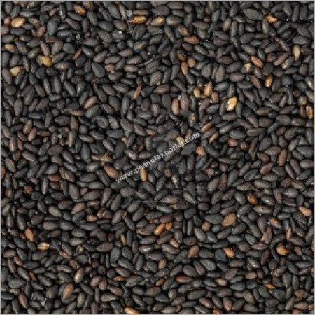 Sesame Seeds Toasted