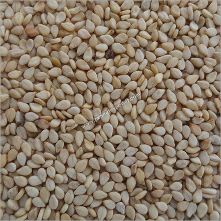Sesame Plant Seeds