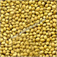 Coriander Seed