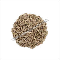 Cumin Seed