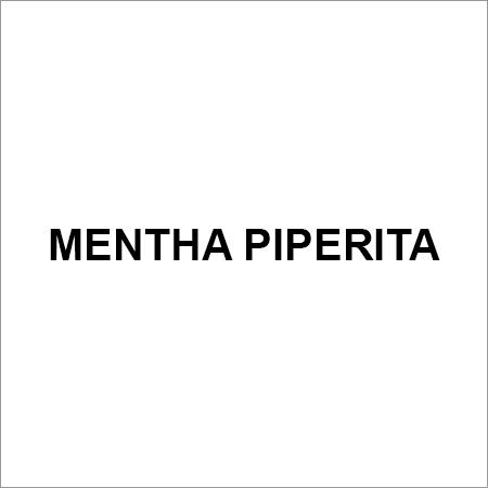 Mentha Piperita