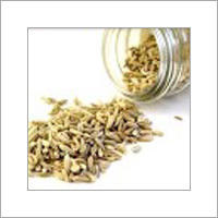 Fennel Seeds