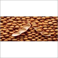 Soyabean Seeds
