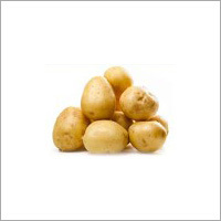 Indian Potato