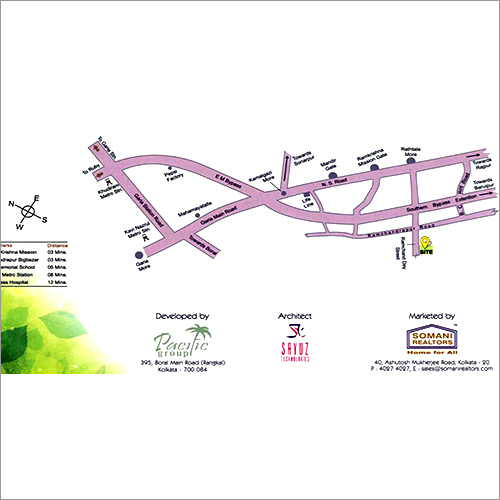 Pacific Shristy Project