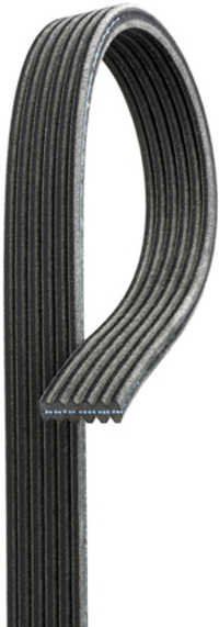 Automo v belts