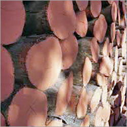 Red Sal Wood Logs