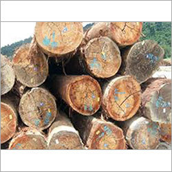 Industrial Meranti Logs