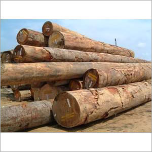 Keruing Logs