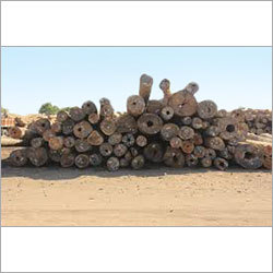 Industrial Kapur Logs