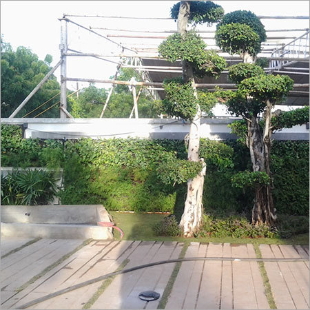 Terrace Vertical Gardening Services By EFGH & ASSOCIATES