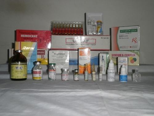 Antifungal Drugs