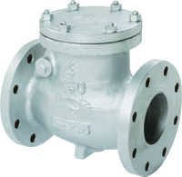 Cast Iron Swing Flanged Ends Check Valve
