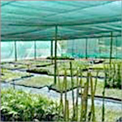 Nursery Shade Net