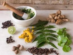 Ayurvedic Medicine
