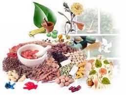 Ayurvedic Medicine