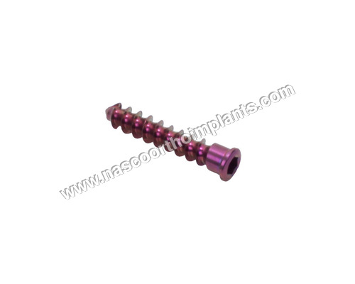 Cervical Bone Spine Screws