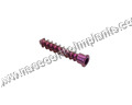 Cervical Bone Spine Screws