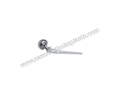 Bipolar Prosthesis Fenestrated