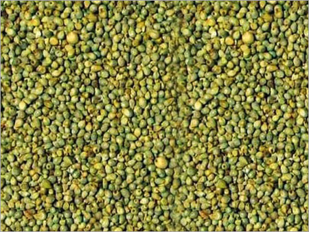 Green Millet