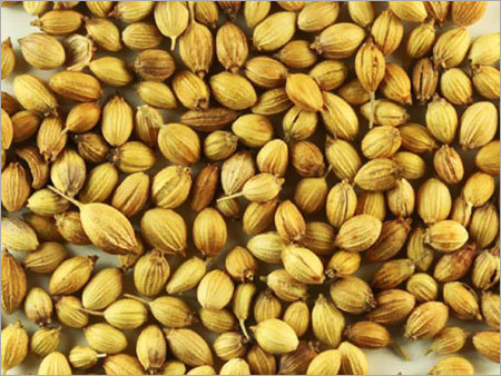 Coriander Seeds