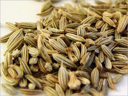Fennel Seeds