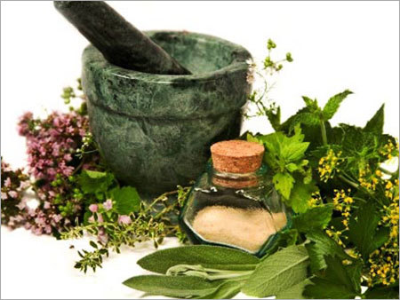 Medicinal Herbs
