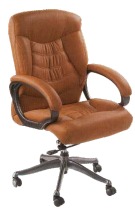 Director Series Chairs