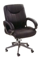 Director Series Chairs