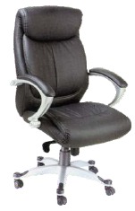 Director Series Chairs