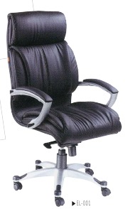 Director Series Chairs