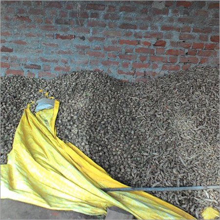 Waigaon Turmeric Finger