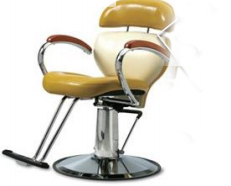 Salon Chair