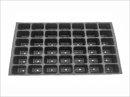Seedling Tray