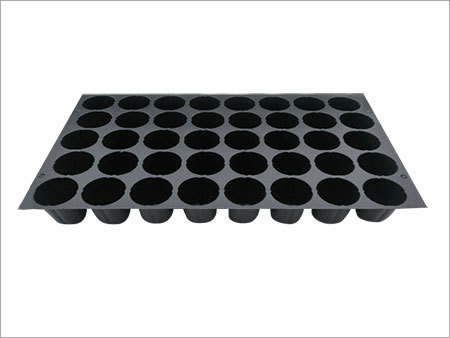 Vegetable Seedling Tray