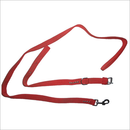 Dog Collar