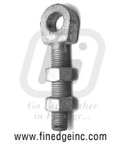 Gate Eye Bolts