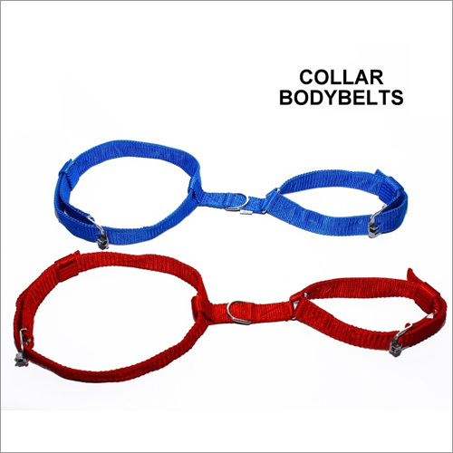 Dog Collars