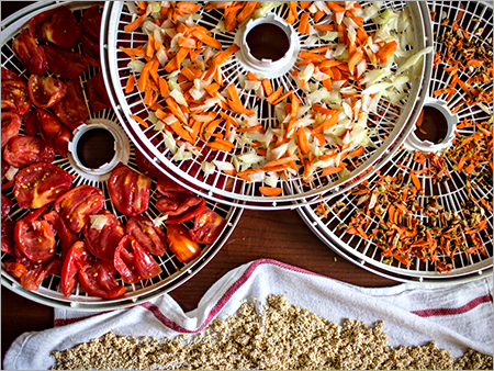 Dehydrated Food Dehydrated Food