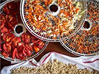 Dehydrated Food