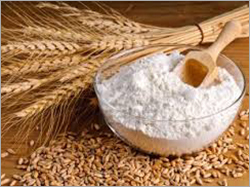 Wheat Powder Wheat Powder