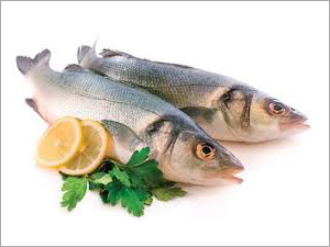 Fresh Fishes Fresh Fishes