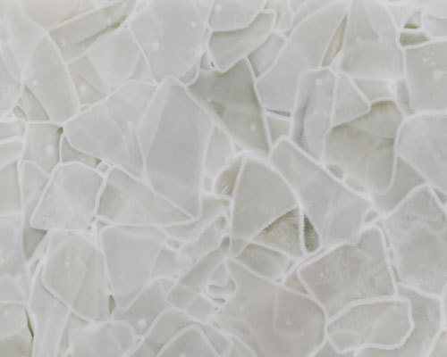 Alaska White