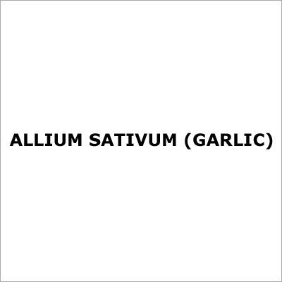 Allium Sativum (Garlic)