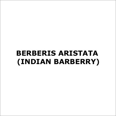 Berberis Aristata  (Indian Barberry)