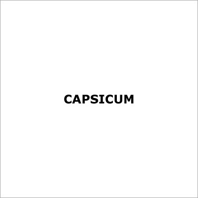 Capsicum