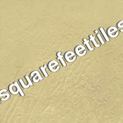 Vitrified Parking Tiles