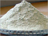 Dehydrated White Onion Powder