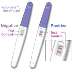 Pregnancy Test Kit