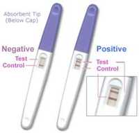 Pregnancy Test Kit